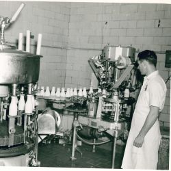 Mayfield Creamery Showing Milk Bottling in Athens, Tennessee