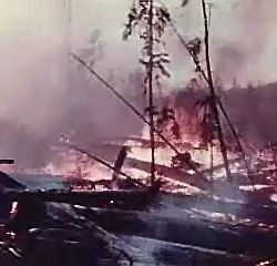 Up in Flames: A History of Fire Fighting in the Forest