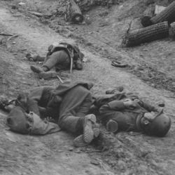 A Sunken Road Strongly Held by Machine Guns. German Dead in Foreground. Near Arras, France