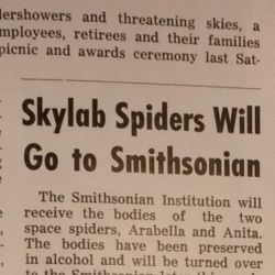 "Skylab Spiders Will Go To Smithsonian" 