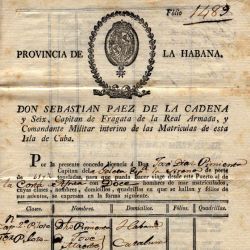 Travel Document for the Schooner Syrena Permitting Transport from Africa to Havana, Cuba