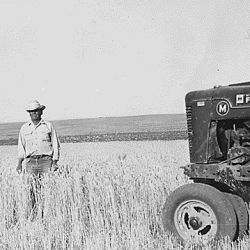 Farmer and crops at Wind River Agency