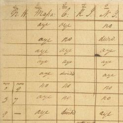 Voting Record of the Constitutional Convention