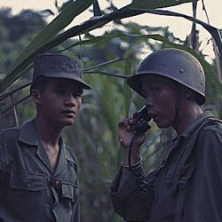 Vietnamese Army Personnel Training in the Jungle