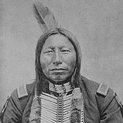 Crow King, a Hunkpapa Sioux; half-length, wearing part of a major