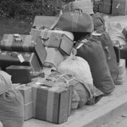  Hayward, California. Baggage of evacuees of Japanese ancestry stacked at public park as evacuation