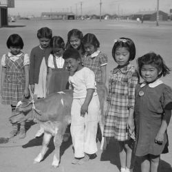 Tule Lake Segregation Center, Newell, California. These elementary school children at the Tule Lake...