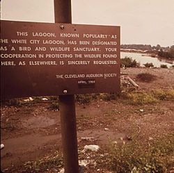 Unauthorized Use As a Dump Has Turned This Lake Erie Lagoon A Designated Sanctuary Since 1964, Into a Breeding Ground For Rodents