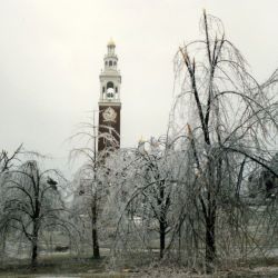 [Ice Storms] Burlington, VT, January 9, 1998 -- Ice coated trees on the University of Vermont campus. Courtesy of Vermont Department of Forests, Parks and Recreation