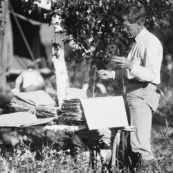 Working Over Herbarium Material at Camp on Impoverished Willow and White-Bark Birch Pole Table, P. H. Dorsett Posing