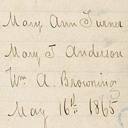 Testimony of Mrs. Mary Ann Turner