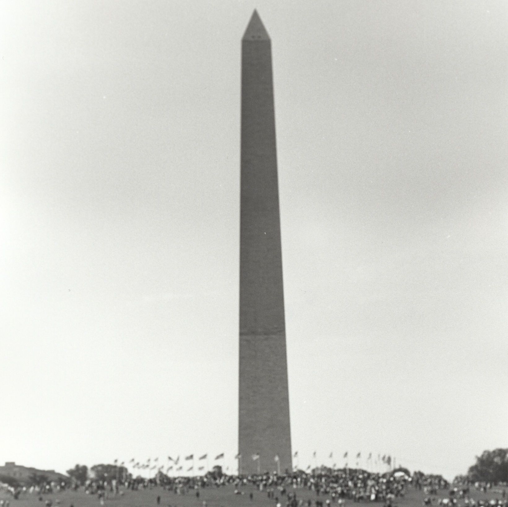 Photograph of Crowd at the Washington Monument during the March on Washington