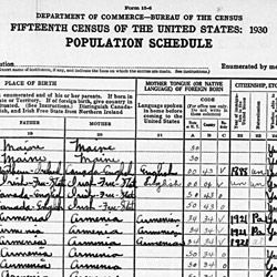 Population Schedule for the 1930 Census Listing Mikael Amerikian