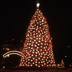 A view of the National Christmas Tree