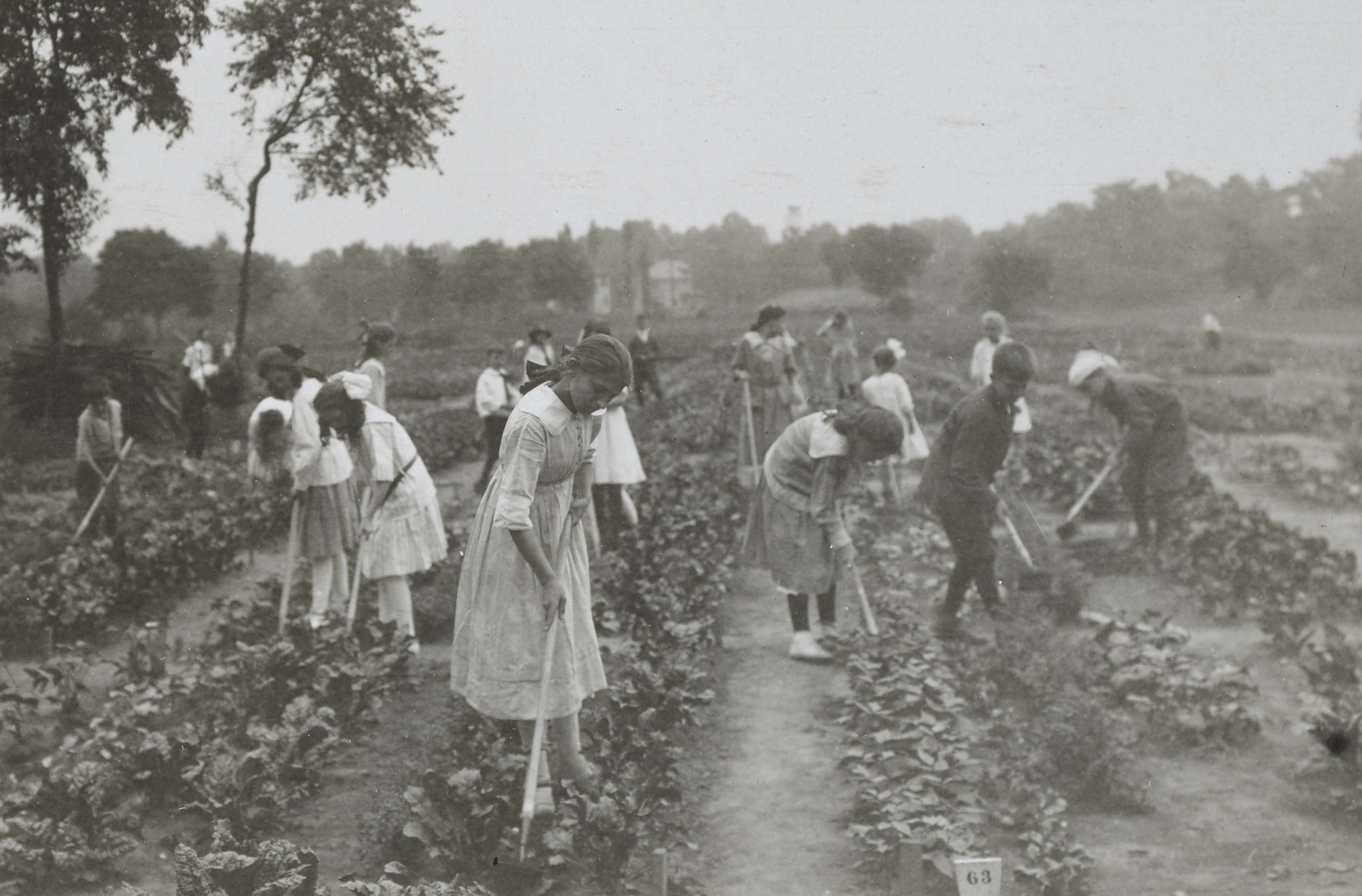 War garden activities by the children of the Irving-Jefferson School, Plainfield, New Jersey