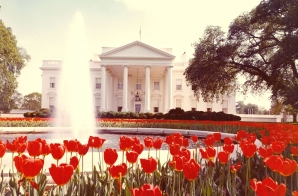 North and South Exterior of White House with Tulips and Fountains Visible