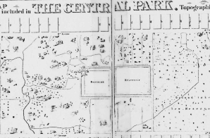 Map of the lands included in Central Park from a Topographical Survey