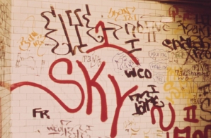 Vandals have Spray-Painted Messages on Walls of this Subway Station (116th Street)