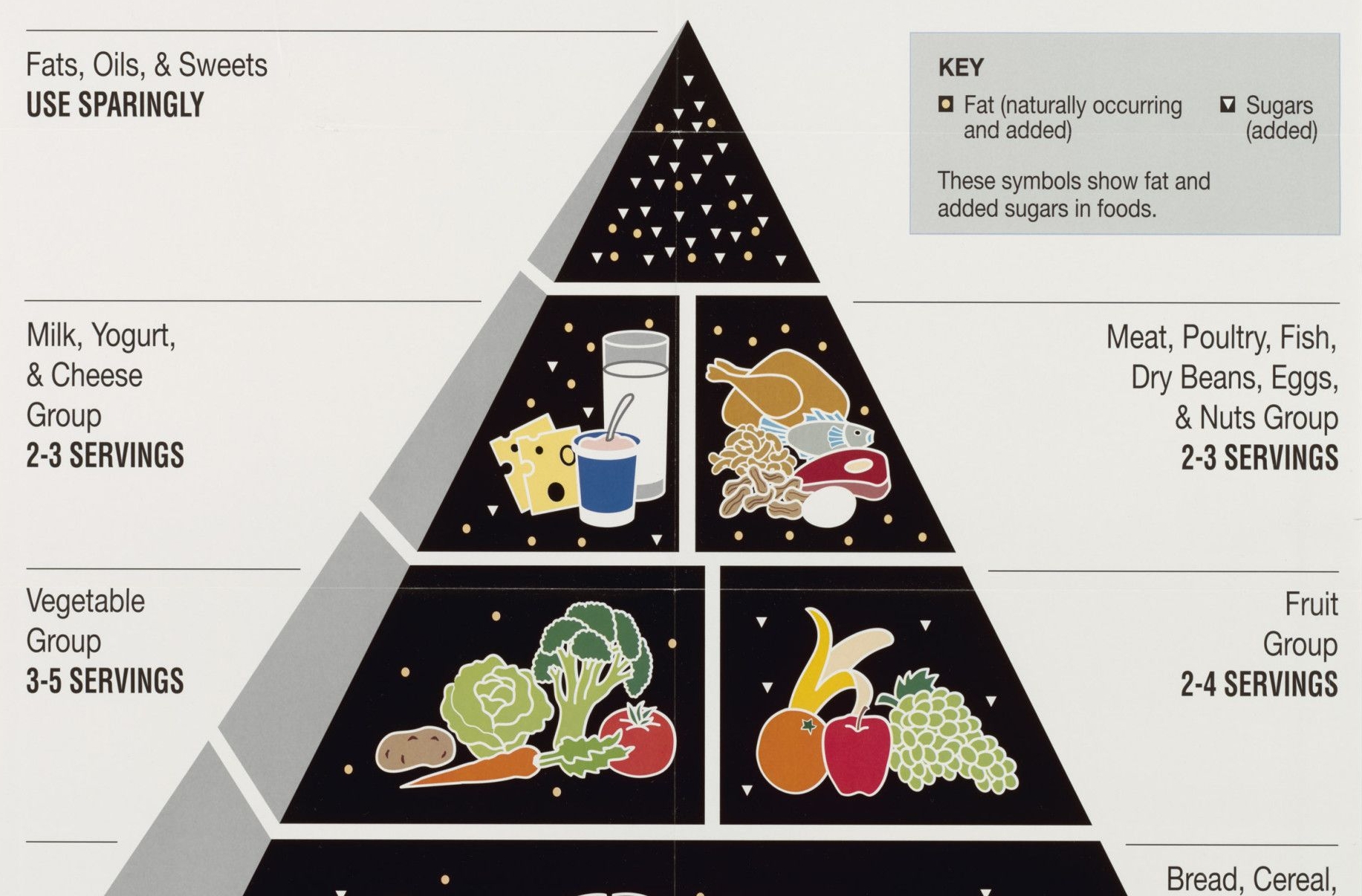 Food Guide Pyramid: A Guide to Daily Food Choices