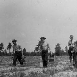 Photograph of Civilian Conservation Corps (CCC) Planting Crew - DocsTeach