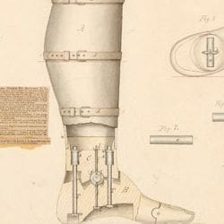 Drawing of Improved Artificial Leg - DocsTeach