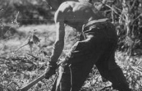 195828-md_195828_5097