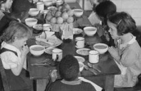 195892-md_195892_10950