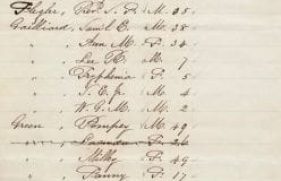 2641474-md_2641474_5992