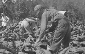 279805-md_279805_15975