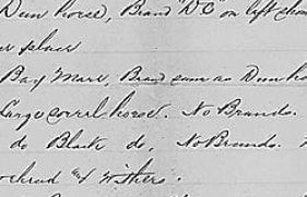 284981-md_284981_5542