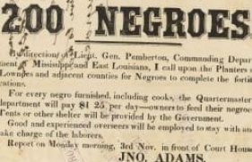 3854716-md_3854716_6394