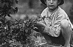 523205-md_523205_4561