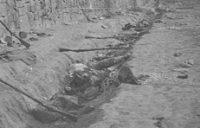 524930-md_524930_5137