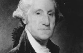 532888-md_532888_16609