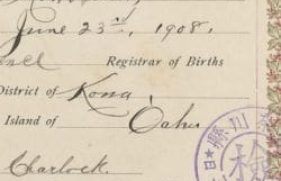 6587579-md_6587579_17199