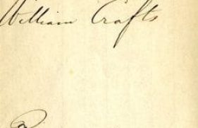 7175327-md_7175327_20933