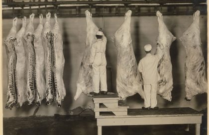 5714085-orig_5714085_13056