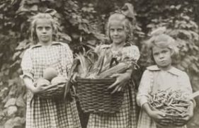 300682667448-primary_10144_20200513090307