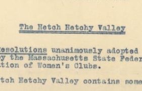 131562958198-primary_11303_20200516015935