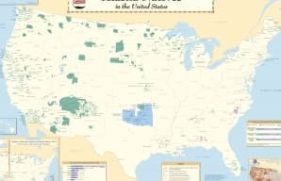 257044073879-primary_12253_20210330011457