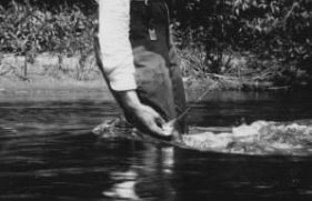 347160785287-primary_12364_20210412004421