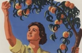 130556627335-primary_14068_20250108162932