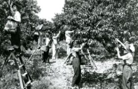 137450869656-primary_14075_20250113104136