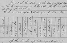 300342-primary_2212_20211103084101