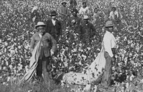 516434-primary_2789_20221015013107