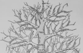 532885-primary_3734_20180605114417