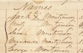 595058-primary_4777_20201106101224