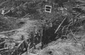 16580232-primary_7881_20200706154642